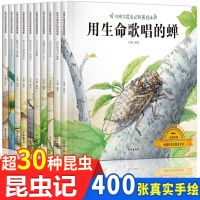 法布尔昆虫记科普绘本全套10册儿童书籍一三年级小学生课外书必读 昆虫记10册