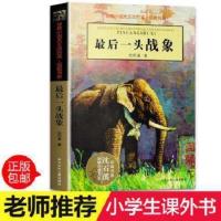 最后一头战象正版沈石溪动物小说单本儿童文学名家经典书系 最后一头战象