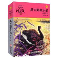 沈石溪动物小说 正版 黑天鹅紫水晶(彩色插图本)升级版/青少年阅 如图
