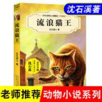 沈石溪著中外动物小说精品流浪猫王励志故事书书儿童文学 流浪猫王