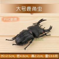 大号仿真甲虫模型角仙锹形虫长戟战神大兜虫儿童认知早教具玩具 大号鹿角虫