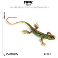 仿真蜘蛛玩具万圣节道具恐怖大黑蜘蛛模型儿童认知科普玩具礼物 1511绿色四脚蛇