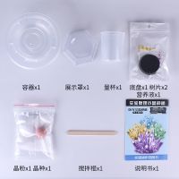 儿童神奇科学小实验套装steam植物火山爆发水晶种植益智化学玩具 1组水晶种植+圣诞树