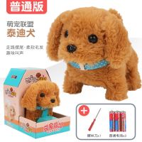 毛绒动物仿真兔子走路发声会叫宝宝泰迪小狗熊猫公仔儿童电动玩具 泰迪犬+3颗电池 收藏购螺丝刀