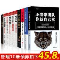 不懂带团队你就自己累企业管理类营销经济学创业生意经商书籍 不懂带团队你就自己累