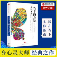 当下的力量实践手册(白金版) 克哈特.托利 著 中信出版图书正版 当下的力量实践手册(白金版)