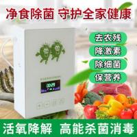 臭氧机洗菜机 家用杀菌果蔬解毒机活氧机消毒臭氧发生器水族 白色款加一管一石 发2管2石