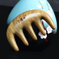 天然黑檀木宽齿梳防头皮按摩木梳子头部经络大齿梳脱发檀香头疗女 绿檀五齿按摩梳(买二送桃木鱼)