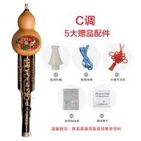 葫芦丝乐器初学者降b调儿童小学生c调全套专业云南紫竹真葫芦丝 C调+