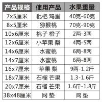 苹果发泡网橙子泡沫网水果防震网套草莓保护套兜枇杷装包网袋包装 网垫 33x48厘米 (50个/包)