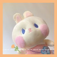 ins小兔玩偶生日礼物公仔毛绒玩具抱枕女生睡觉床上可爱猪猪娃娃 兔子(Q萌公仔) 23厘米