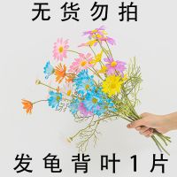 假花装饰品栽梳妆台摆设塑料花束摆件客厅室内插花办公室仿真瓶花 六只小雏菊把束