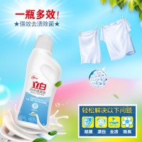 立白漂白剂白色衣服去污去黄污渍漂白水彩色强力全能型万能彩漂粉 白衣漂渍液600g*1瓶[1.2斤]
