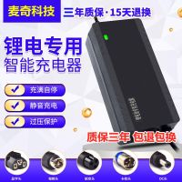 电动车锂电池充电器48v36v60v72v2A5A哈雷滑板车自行车三元铁锂 小唛头 36V2A(输出42V)