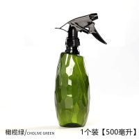 园艺浇花气压式喷壶家用消毒专用高压小喷水喷雾器浇水压力洒水壶 橄榄绿[500毫升]