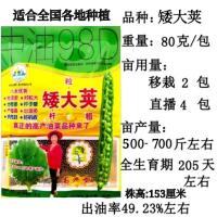 特大粒矮杆耐寒抗倒早熟杂交高产油菜种子油菜籽种油率高油菜 矮大荚[正品原装一包]净重80克