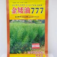 矮杆高产油菜籽种子 油霸777抗倒伏抗病榨油油菜籽秋播油菜花种孑 油霸777约100克