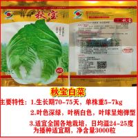 66种蔬菜种子四季种套餐草莓种子生菜香菜菜种子阳台蔬菜种子批发 [秋宝大白菜]3000粒