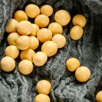 东北新黄豆粒1斤黑龙江本地豆类五谷杂粮打豆浆生豆芽大豆5斤批发 黄豆1斤