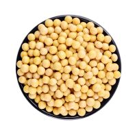 黄豆批发 非转基因农家大豆子小粒发芽种子打豆浆的豆子 五谷杂粮 黄豆490g*2袋 自封袋