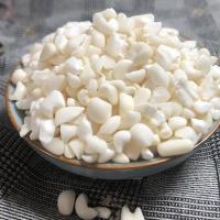 干白糯玉米粒头粘黏玉米碎糁碜渣碴子苞谷粥玉米批发广西忻城玉米 糯玉米1斤