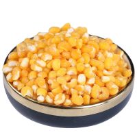 2/5斤东北农家自产大碴子新玉米大碴粥大粒五谷杂粮粗笨苞米茬子 2斤中粒碴子