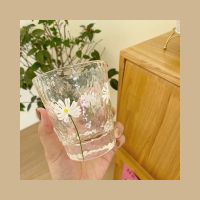 日系ins手绘小雏菊锤目纹玻璃杯清新小雏菊透明耐热玻璃杯水杯子 矮款