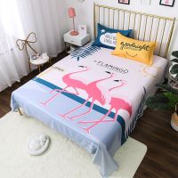 索夫妮磨毛卡通ins床单单件单人双人床学生宿舍用儿童男女孩被单 01火烈鸟 120x210cm-适0.9m床
