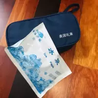 胰岛素和笔用保温包冷冻包诺和优伴笔东宝胰岛素笔保温包冷藏包 单包包+1个注水大冰袋