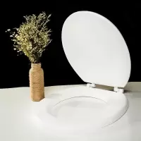 发泡EAV软马桶盖泡沫坐便圈老式通用加厚马桶盖板厕所蹲便座便盖 UO型白色