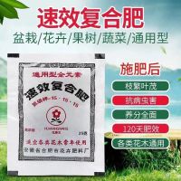 [驱蚊驱虫]卷柏盆栽不死草绿植绿箩进化空气复活草观叶四季常绿 卷柏专用肥6包