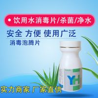 二氧化氯泡腾片饮用水井水野外用水消毒净化家用杀菌剂祛味净水剂