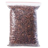 蒲公英根茶儿长白山野生天然特级婆婆丁大根250g/500g1斤泡茶 蒲公英根250克[小根]