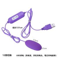 usb变频单跳双跳蛋插入女用摇控双震动直插式跳蛋成人情趣性用品 USB单蛋-紫