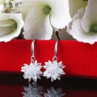 时尚水晶锆石冰花耳环韩国气质耳坠长款百搭雪花珍珠耳线耳饰 白色雪花耳环C1001