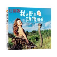 我的野生动物朋友二三四年级 全新完整版百科全书科普书籍小学生 我的野生动物朋友[注音版]