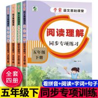 一二三四五六年级上下同步练习册看拼音写词语阅读理解专项训练题 五年级下适用 字词训练同步专项练习