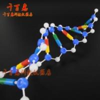 DNA双螺旋结构模型组件 高中生物分子模型 教学仪器 实验器材 DNA双螺旋结构模型组件 高中生物分子模型 教学仪器 实