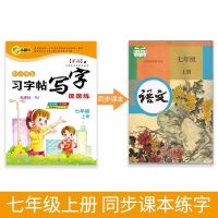 人教版七年级字帖初中一年级语文上下册同步正楷钢笔临摹练字帖 七年级上册