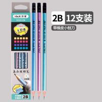 学生用铅笔2B套装幼儿园一二三年级HB手绘素描初学者书写铅笔套装 12支2B[字迹清晰]