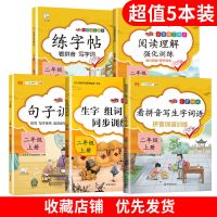 新版句子训练二年级上册下册语文专项训练同步教材练习册人教版 二年级上册 看拼音写生字