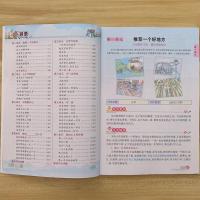 新版名师点睛同步作文-启智-四年级上册人教版同步新疆青少年出版