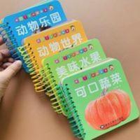 4 本儿童益智撕不烂彩图动物世界水果蔬菜卡片视觉启蒙大卡绘本书 动物世界+动物乐园+美味水果+可口蔬菜