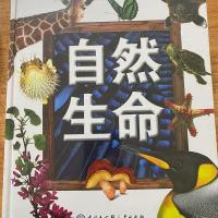 DK儿童百科全书全套13册海洋太空恐龙地理动物人体科学自然生命 自然生命