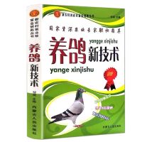 养鸽新技术肉鸽信鸽观赏鸽养殖技术鸽舍建设饲料配置鸽子疾病防治 养鸽新技术NM