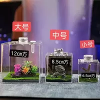 鸣虫缸亚克力蝈蝈罐蛐蛐罐扎嘴油葫芦马蛉金钟电报蛉特景高端缸 小号花草景