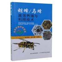 胡蜂/马蜂高效养殖与利用技术 赵荣艳 段毅 9787109260207 默认