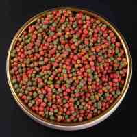 锦鲤金鱼饲料血鹦鹉鱼饲料颗粒饲料观赏鱼饲料螺旋藻增色增体鱼粮 三效合一 小颗粒 300g/袋试用装