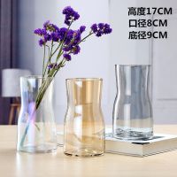 花瓶摆件客厅插花透明玻璃北欧富贵竹马醉木水竹鲜花直筒大号落地 口8高17CM北欧风颜色随机发