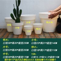 花盆清仓特价大号特大号创意个性简约家用塑料绿萝多肉小花盆 白色(带托盘) 15#